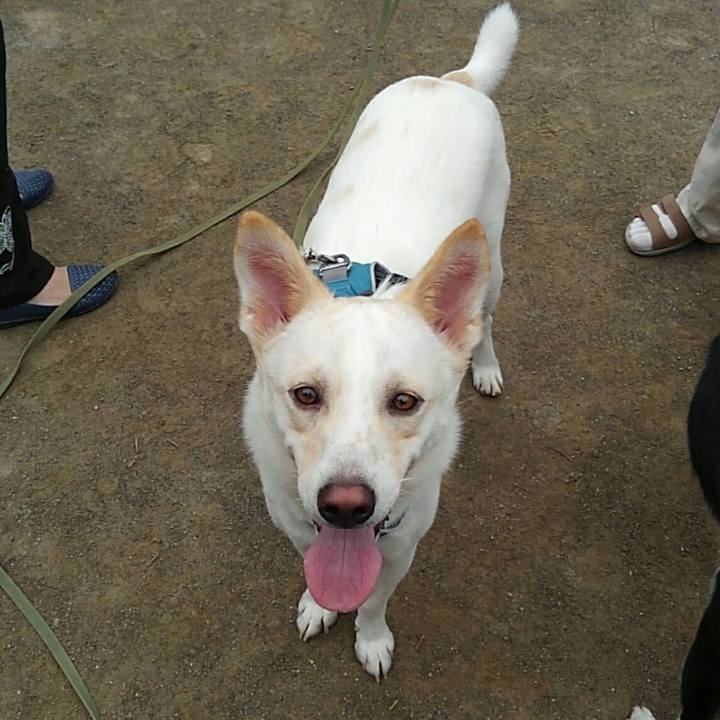 Ff7564be 37e2 471e 9578 2ae535fc6313