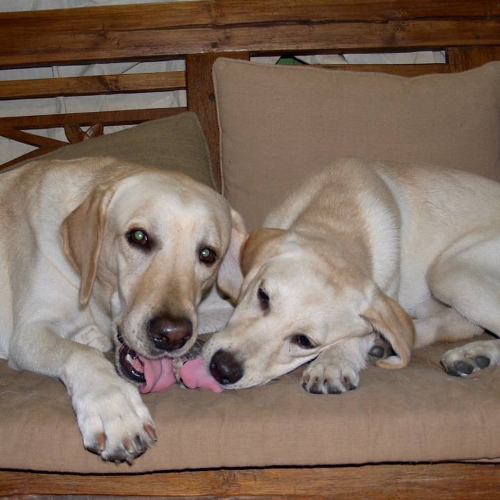 Ff757524 4c5c 4db0 9639 aeb8f3aa566c