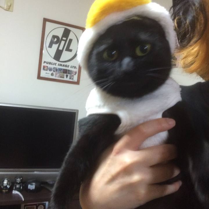 Ff757f6b 7333 4419 9db4 fc7c83527535