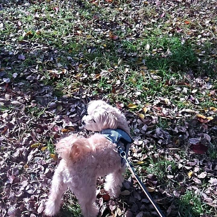 Ff76146d 55c7 4b72 8222 7442bf3f9b63