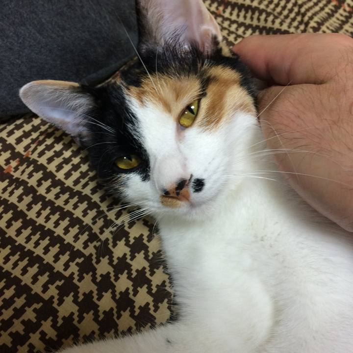 Ff768e05 7110 4f10 9c22 daa42a726b50