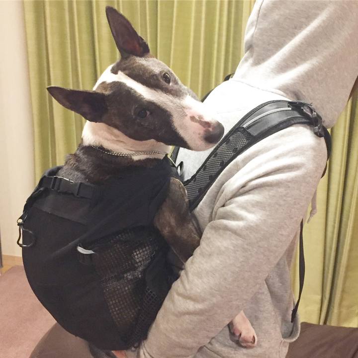 Ff76d1a5 7d03 4644 935f f872b28d235e