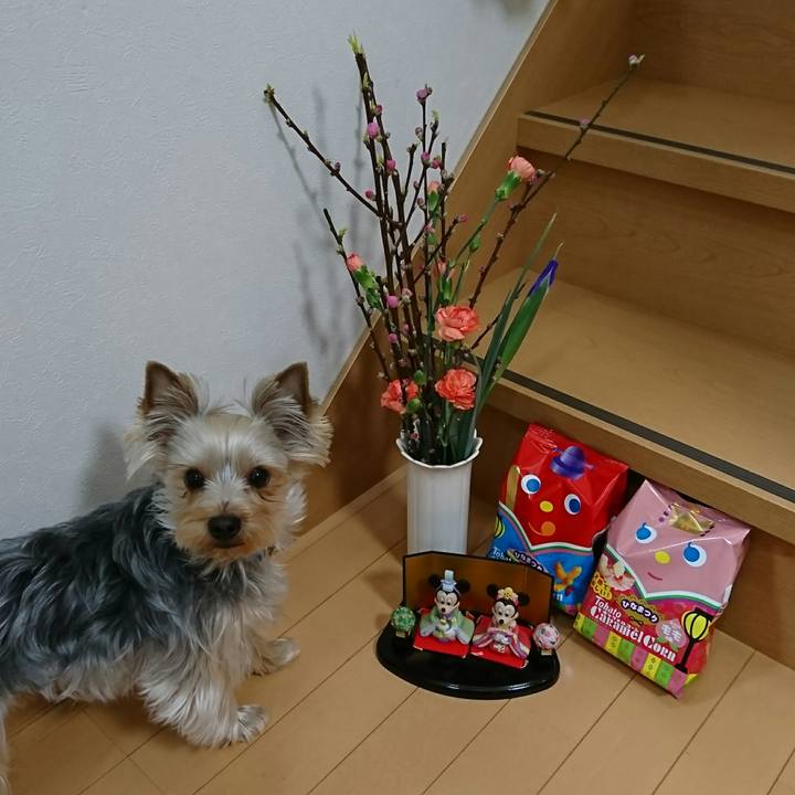 Ff771037 11b6 4c39 979e 0eda374a0b18