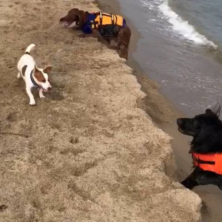 Ff774978 56ac 4ba3 9f8c ac4c3df0fae6