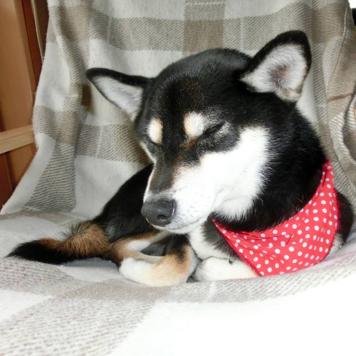 Ff777687 d6ba 4919 be5f 76fd80585dac