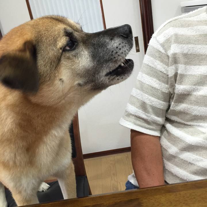 Ff77924a 5f4b 42ea b4ac 5f17b8dc320a