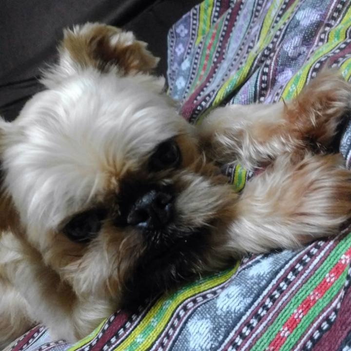 Ff779ab5 2a51 47fe 8567 b5615c599a55