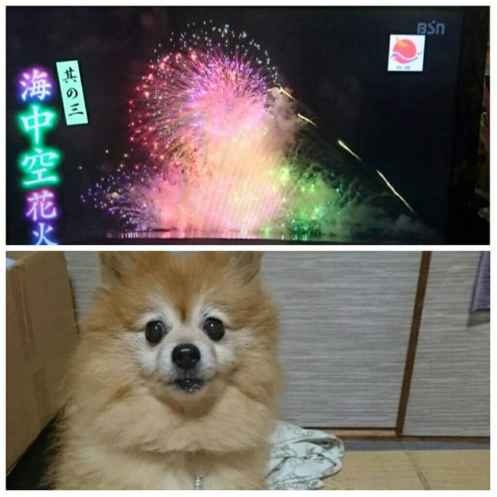 Ff782175 d118 445a 8e9b 0b7a22c6a4c7