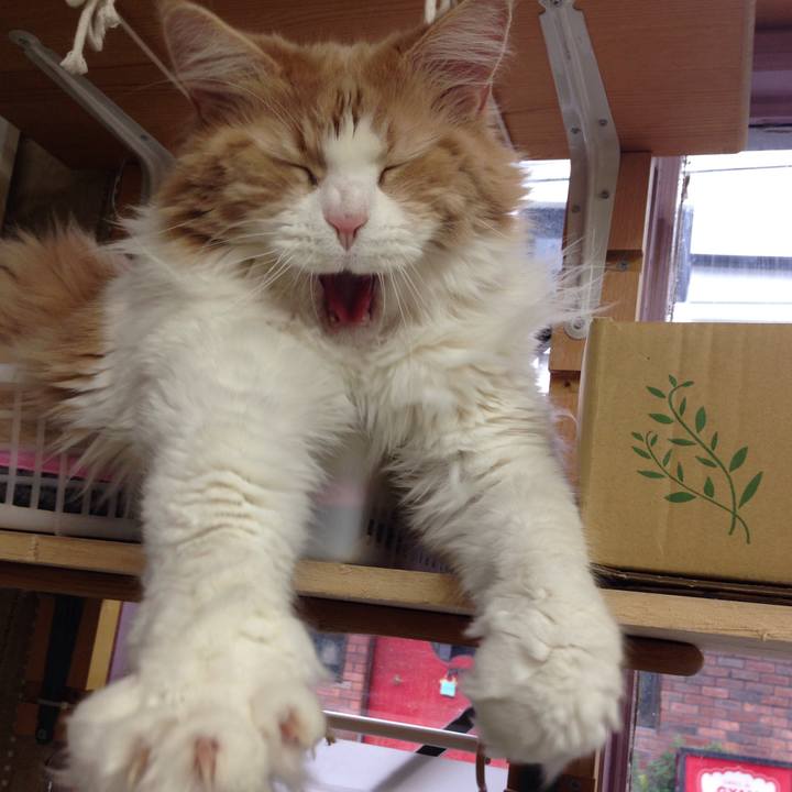 Ff78922f 459f 41d4 ba80 51f0217dbcd2