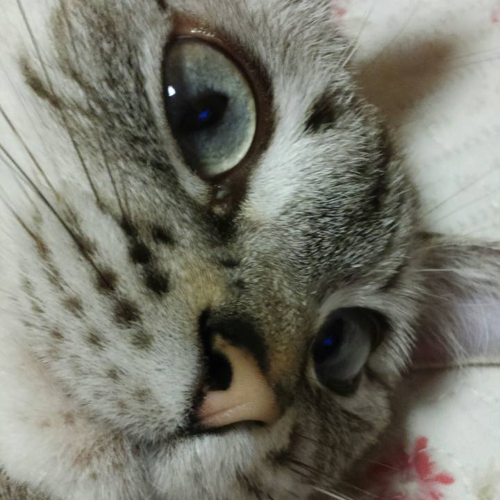 Ff789e77 2693 4de2 b282 58b03cd1ea17