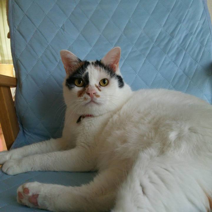 Ff797754 1f2f 4696 946f 948b8b466a3d