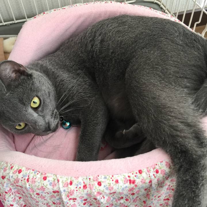 Ff798325 0d69 4322 ba8d e429a4f5fd57