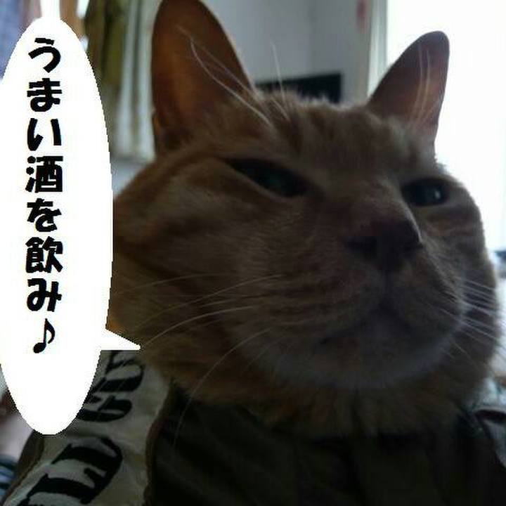 Ff79b73e 7648 4da3 a9a8 77b290de01d2