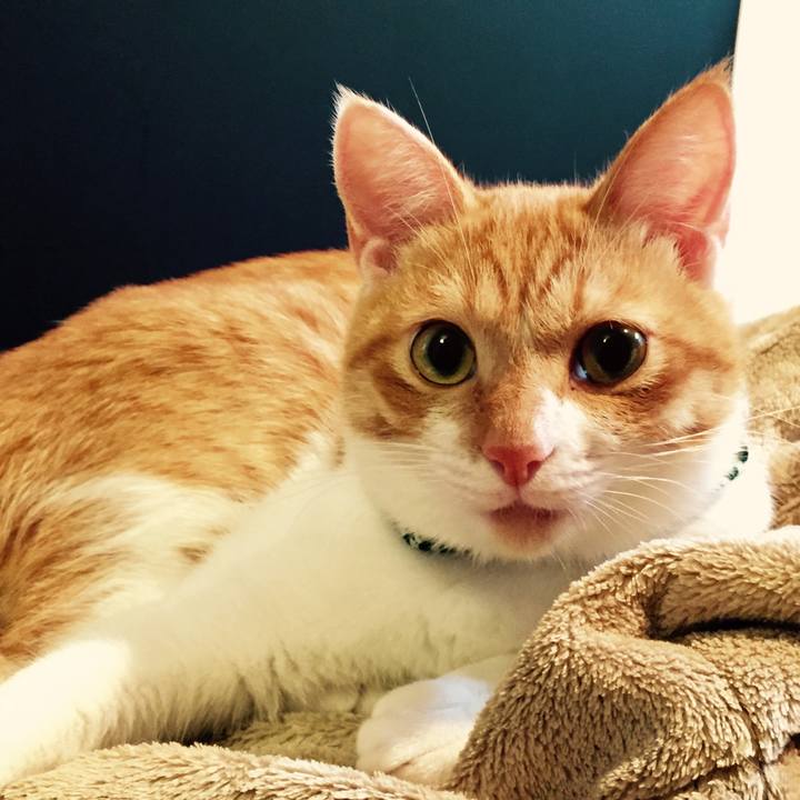 Ff7b1260 b796 4626 b932 cc99f56b23a1