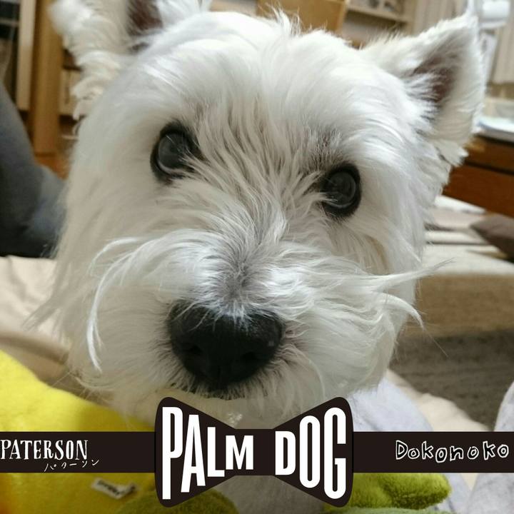 Ff7b27e1 424e 4fc4 8883 af599d2052be