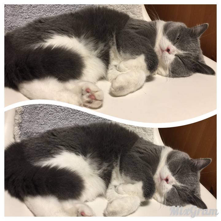 Ff7b3b85 0e0e 4a34 a1bd 0592c8e7806e