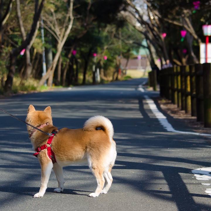 Ff7b47f6 cd53 4254 bc0c cfde3aea1b38