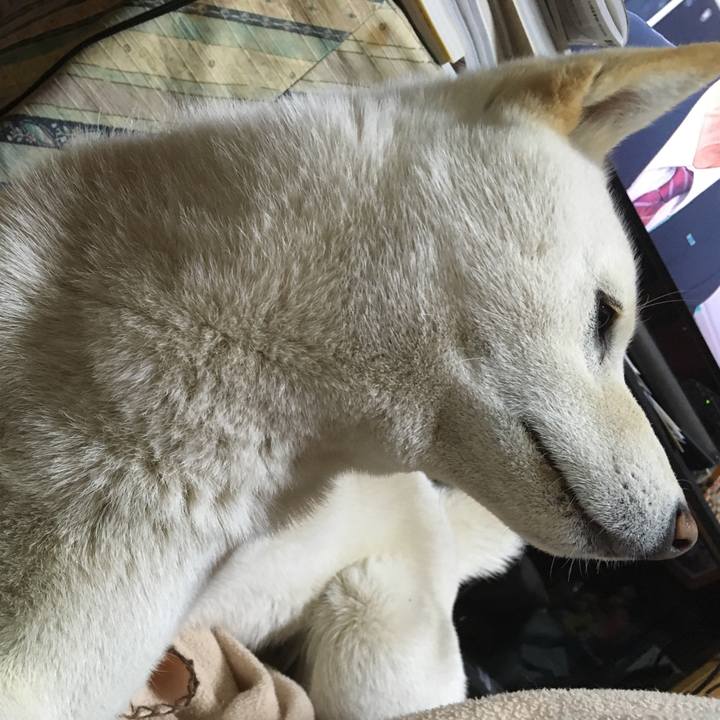 Ff7c13b5 9439 4e75 a96d 00891920bdd2