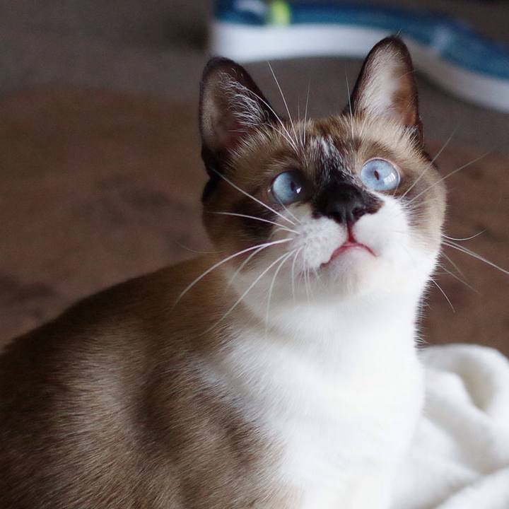 Ff7c7e35 3ffb 4ae5 967a c645d30cd080