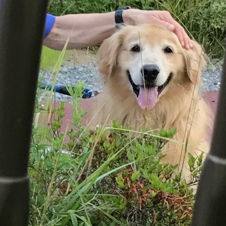 Ff7cbb17 f13b 437e 8579 ab8cf5492823