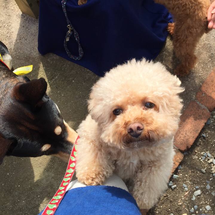 Ff7da8eb e359 4fcc 8cc4 c516f18fc53a