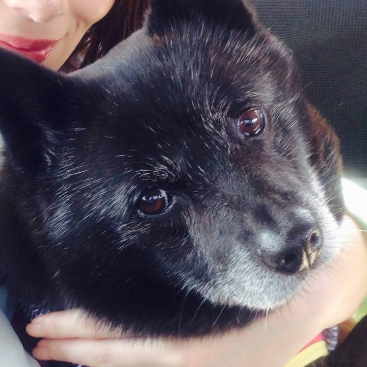 Ff7eb535 b76e 4326 945a 1e5b2d1becf9