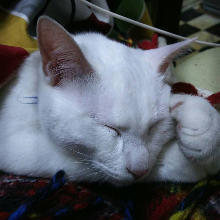 Ff7f2c75 ff9d 4924 ac36 8557c778812d