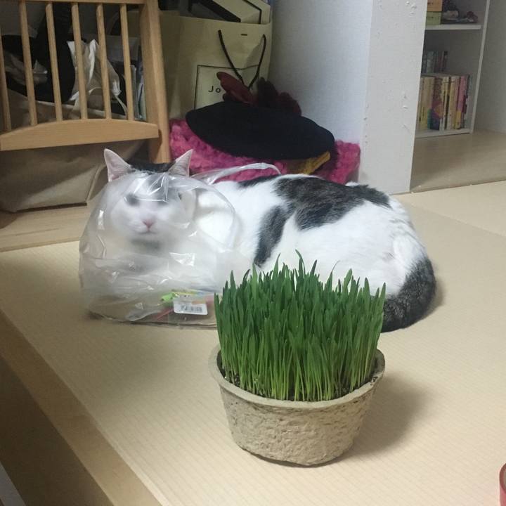 Ff7f3338 2b35 4ade a162 16202b651ddc