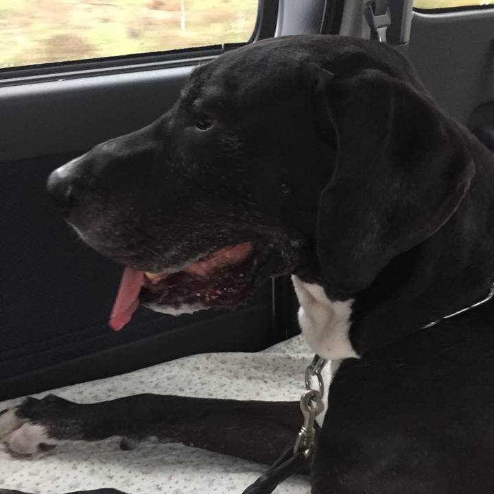 Ff7f6c1a 6a8a 4f85 8cd9 ce3a797f69cb