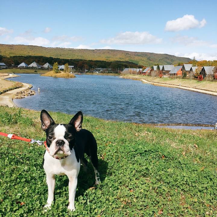 Ff7fbf19 ecda 4c1e 8937 8766dca7b3a7