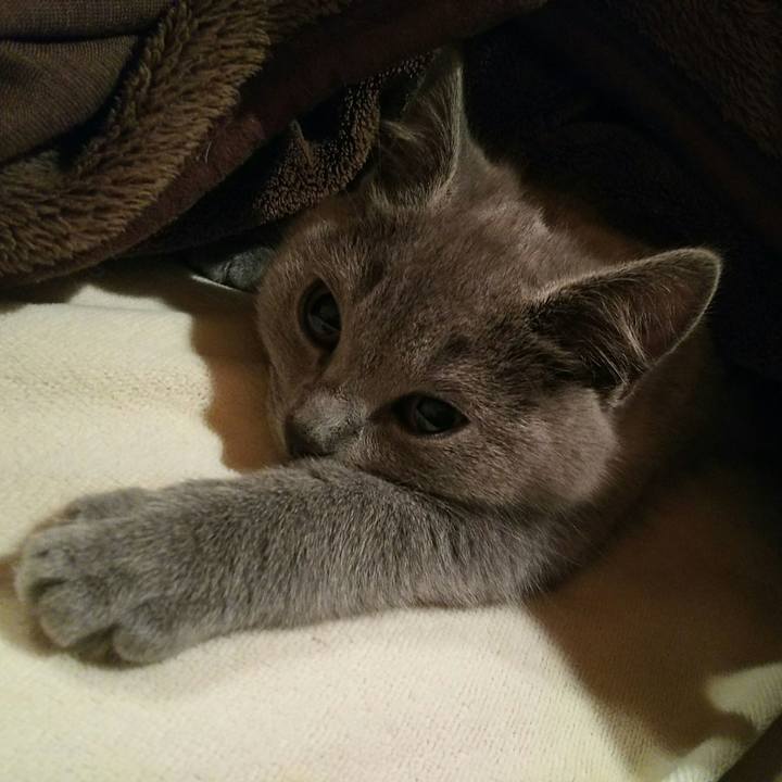 Ff8230af 4d1d 4ab6 af05 273ba6ee6bf2