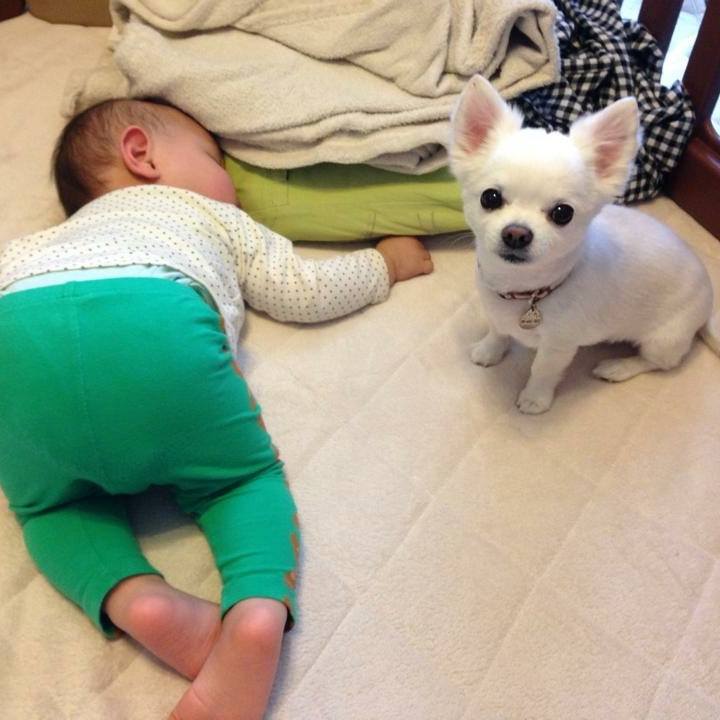 Ff8237cc c06f 42f9 b20e c7adfc749a32