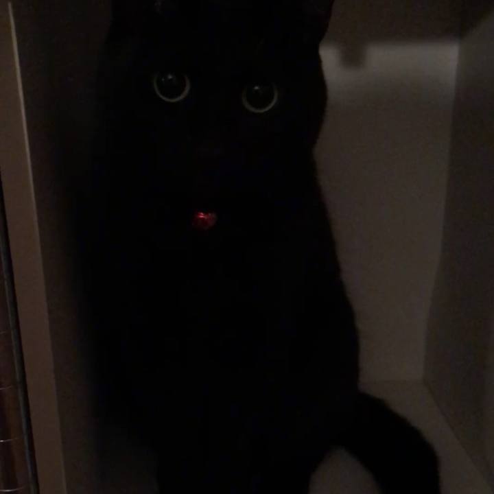 Ff827891 a862 4277 9685 b34b5e530f58