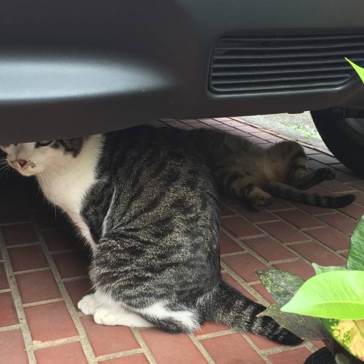 Ff8284ba be6d 4041 9232 4384185b160a