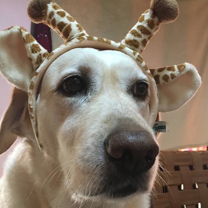 Ff82f2a8 3f1d 4dcb 9d33 b33ac00d8f19