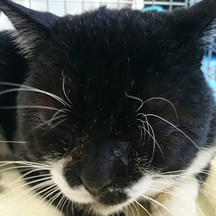 Ff838177 1d7b 43d4 ba0d 8d5ca4c430db