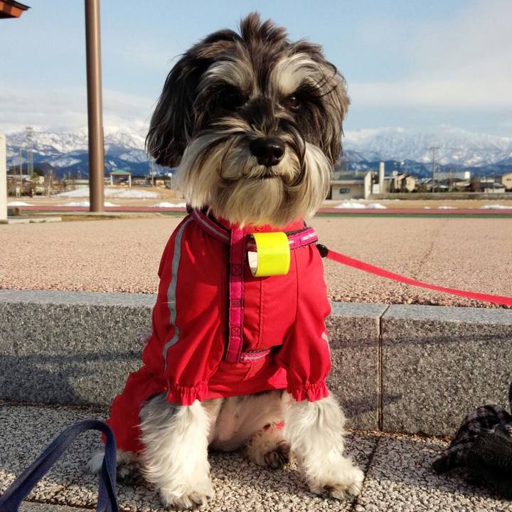 Ff83839b a9a9 4ed0 a80f b11867f0f489