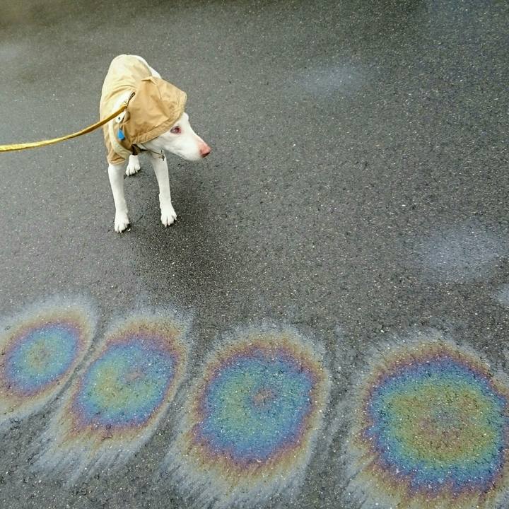 Ff841aa3 e685 492a 8a6a f6102b4646c3