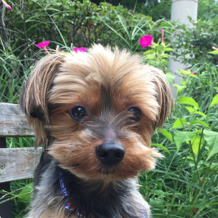 Ff8544ec e77a 4bf8 afe0 5da7cc85ef5a