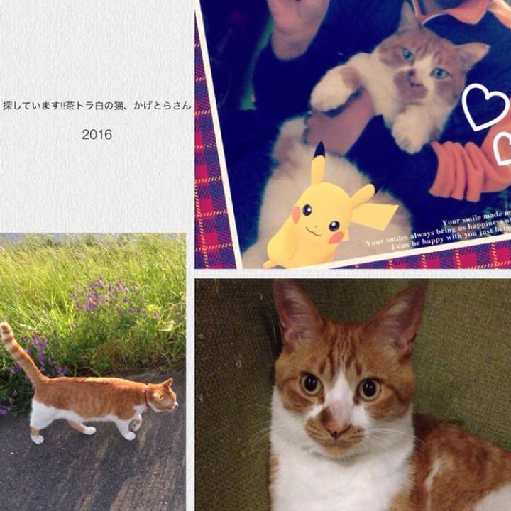 Ff856e81 2c1c 4045 8a87 7eee03d611f7