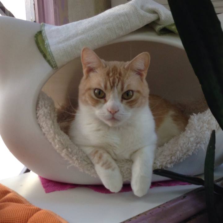 Ff858ae5 ed16 4817 be06 ab76fb58d31d