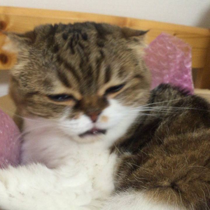 Ff85a174 fc08 4d49 b7f8 d8757ab26d30