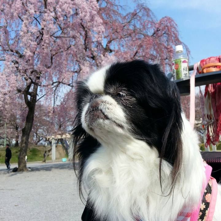 Ff8624f4 8614 4baf 8f04 80e8fe8b9cc9