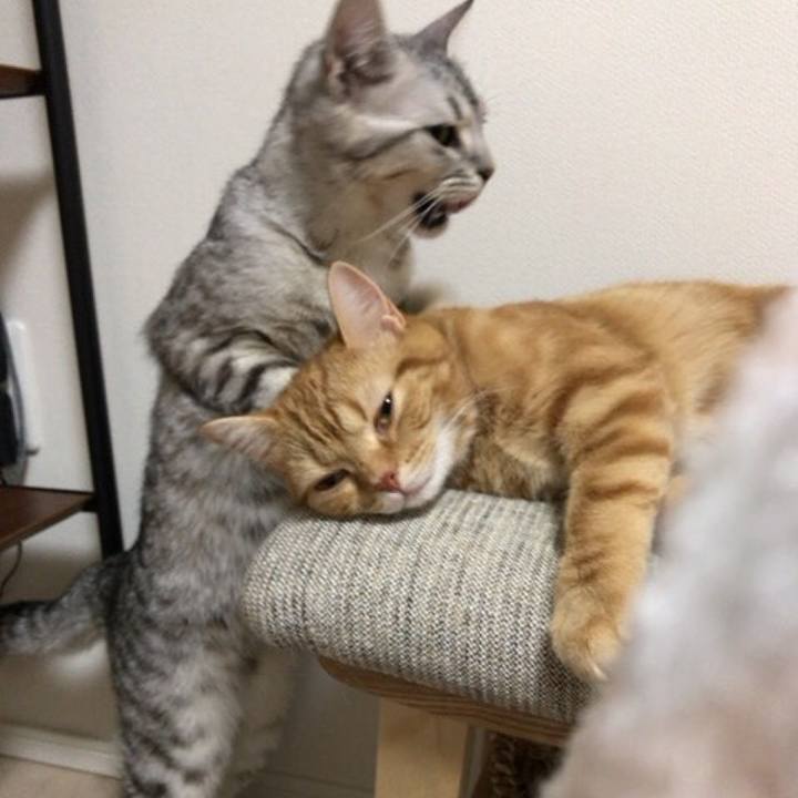 Ff86659d 158c 47ae 903a 7ca50da8245d