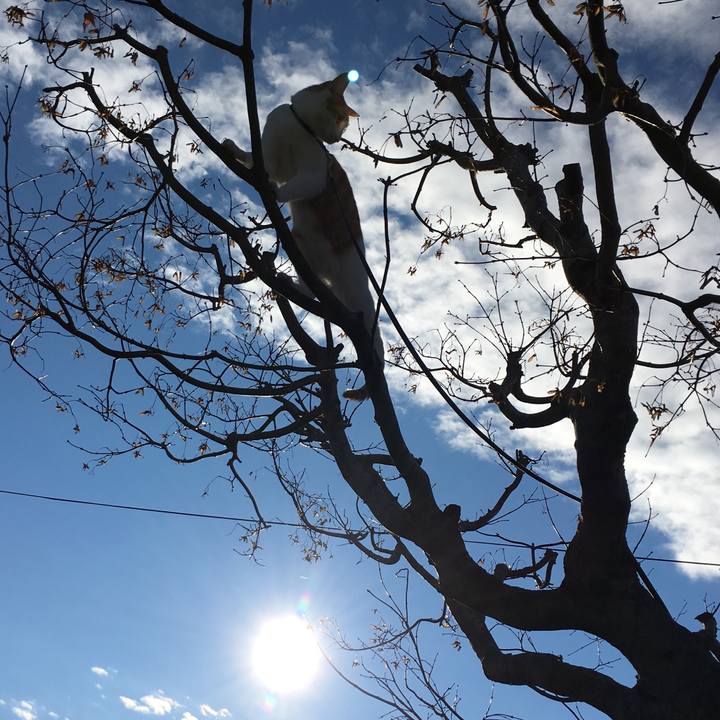 Ff873b10 045f 4a91 8d8a 123a09db8c3d