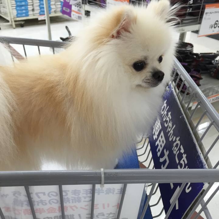 Ff87a5a7 0b30 409e ae88 ee23598e12f7