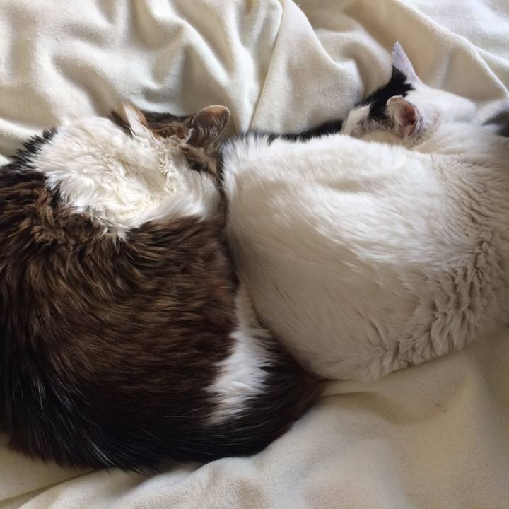 Ff87a85f 6f0b 488f 9c3b f35b4b6c3cbf