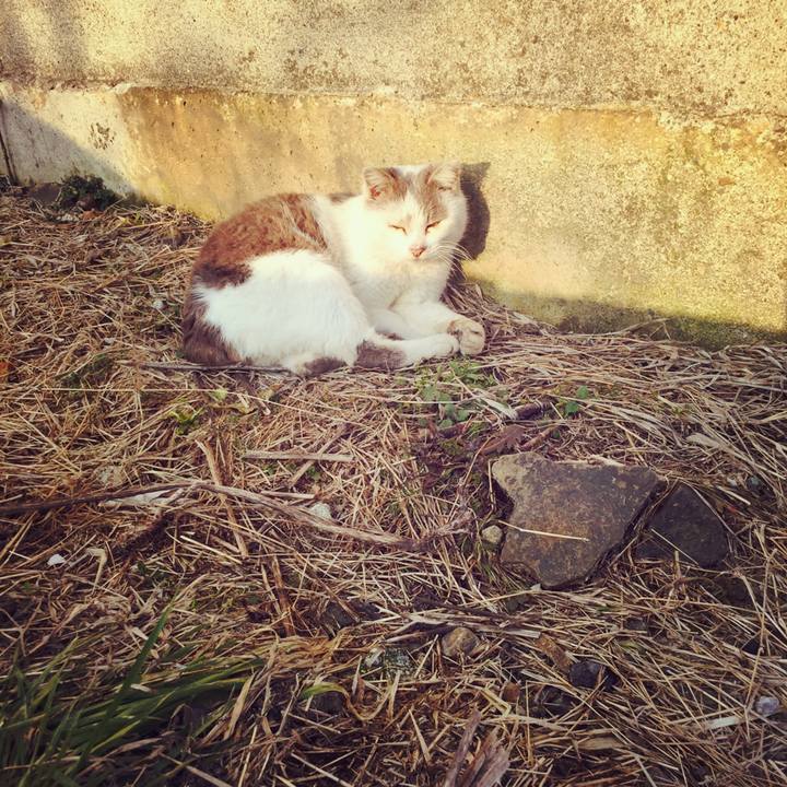 Ff88a749 9ddb 42e2 9ad9 8eb8eb8269c7