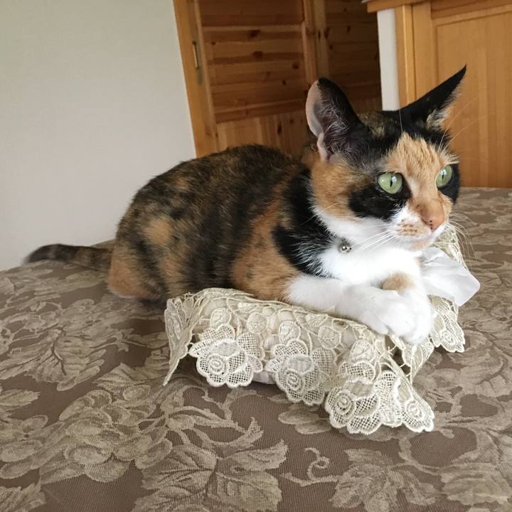 Ff88c16a 76e4 42ae aff8 9bb49b0a1736