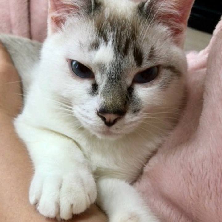 Ff8a1e62 26dc 4f24 a1a9 d9bdbe51b799